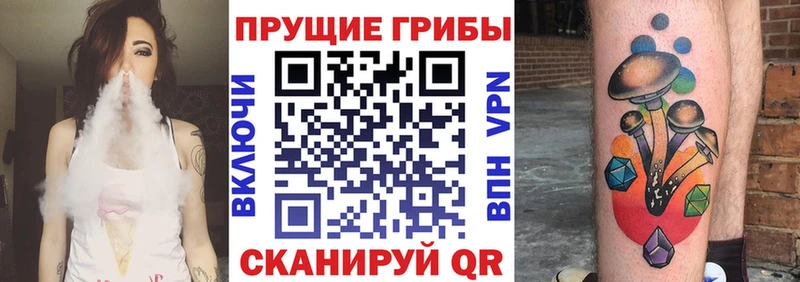Галлюциногенные грибы Psilocybe  Краснотурьинск 